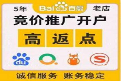 金融行业SEM运营托管的策略与效果